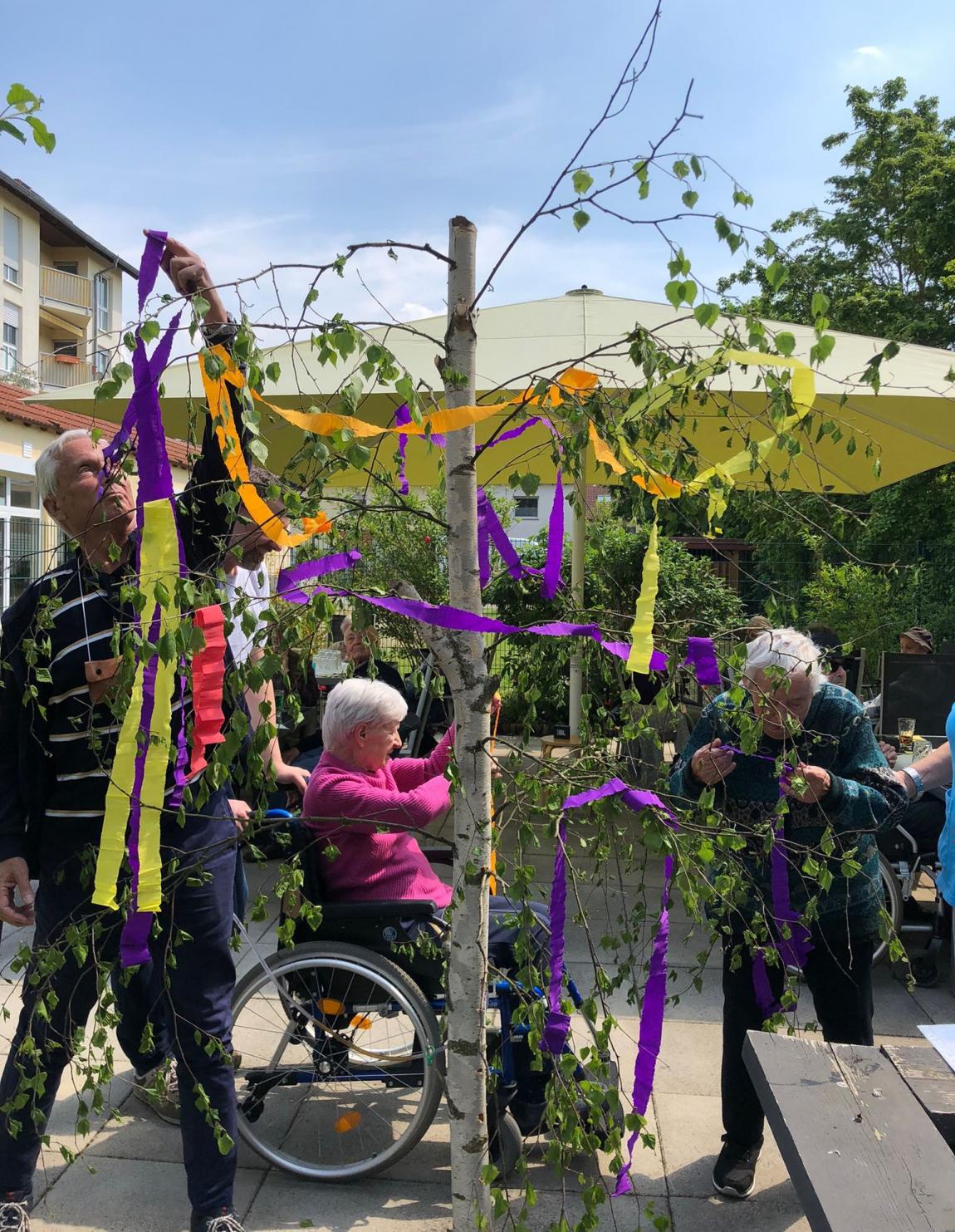 tp_-_maibaum_schmucken3